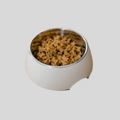 Food Bowl (Copy)